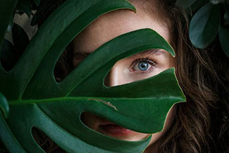 eyes behind the leaf v2.jpg